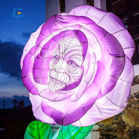 Large Outdoor Christmas Silk Lantern Show
